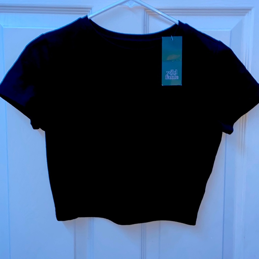 Short Sleeve Cropped T-Shirt (Black)- Wild Fable